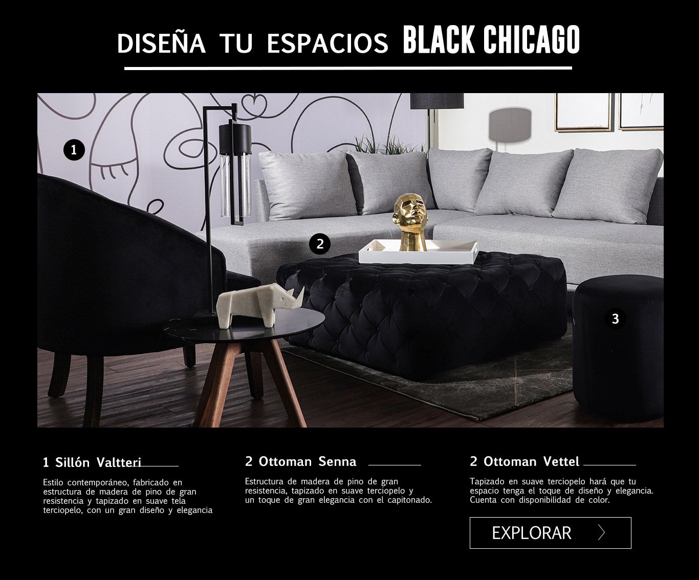 blackchicago_centro_10