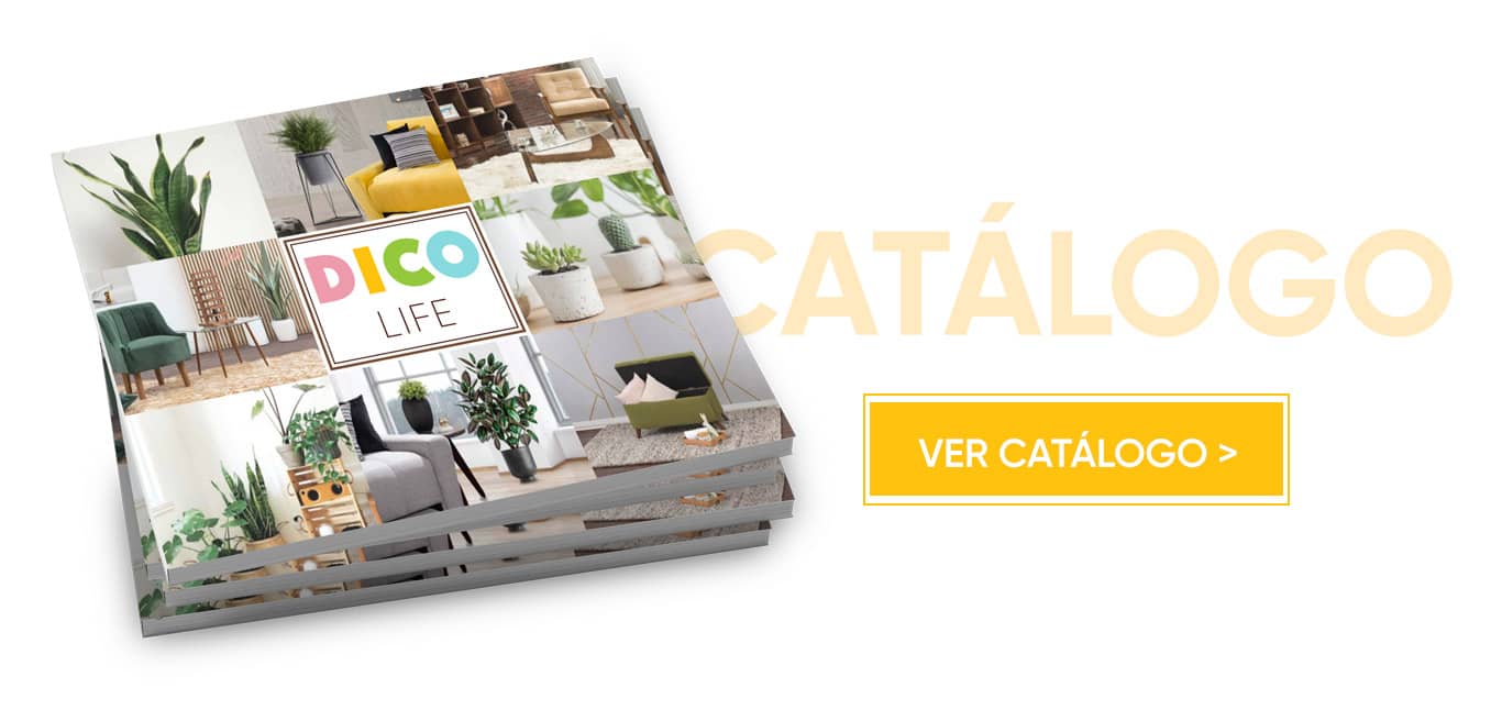 DicoLife_CentroF_04